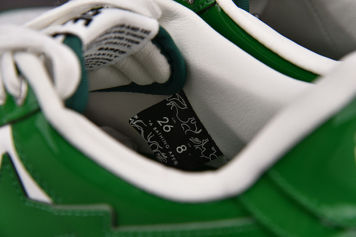 bathing ape a000033